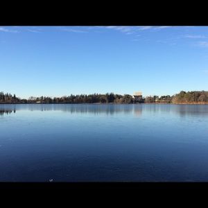 Meet your Posher, Pauline